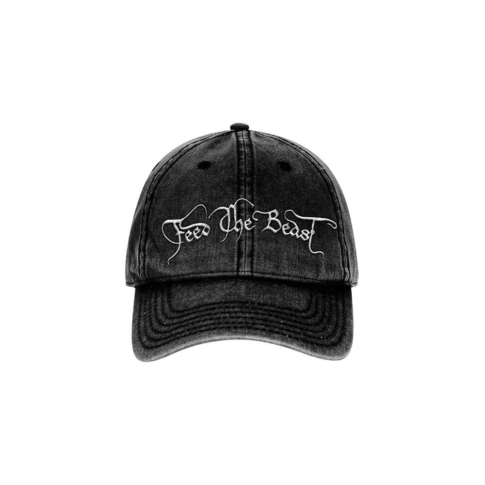 Feed The Beast Script Washed Dad Hat Front